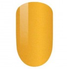 PM022-Golden Doublet Set image 0