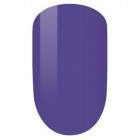 PM101-Plum Set image 0