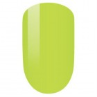 PM097-Coral Carnation Set image 0