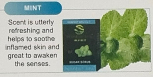 Perfect Spa Deluxe 4in1 Mint case/50packs BUY 10 FREE 2 image 0