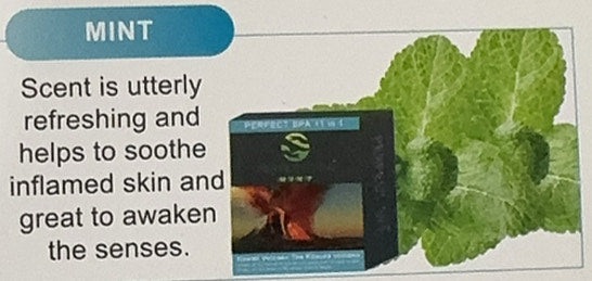 Perfect Spa Deluxe 11in1 Mint case/36packs BUY 10 FREE 2 image 0