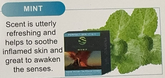 Perfect Spa Deluxe 11in1 Mint case/36packs BUY 10 FREE 2 image 0