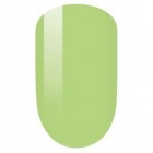 PM120-Spearmint Set image 0