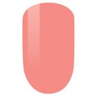 PM171-Blushing Bloom Set image 0