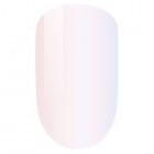 PM033-Red Bird Set image 0