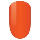 PM046-Spot Light Set image 0