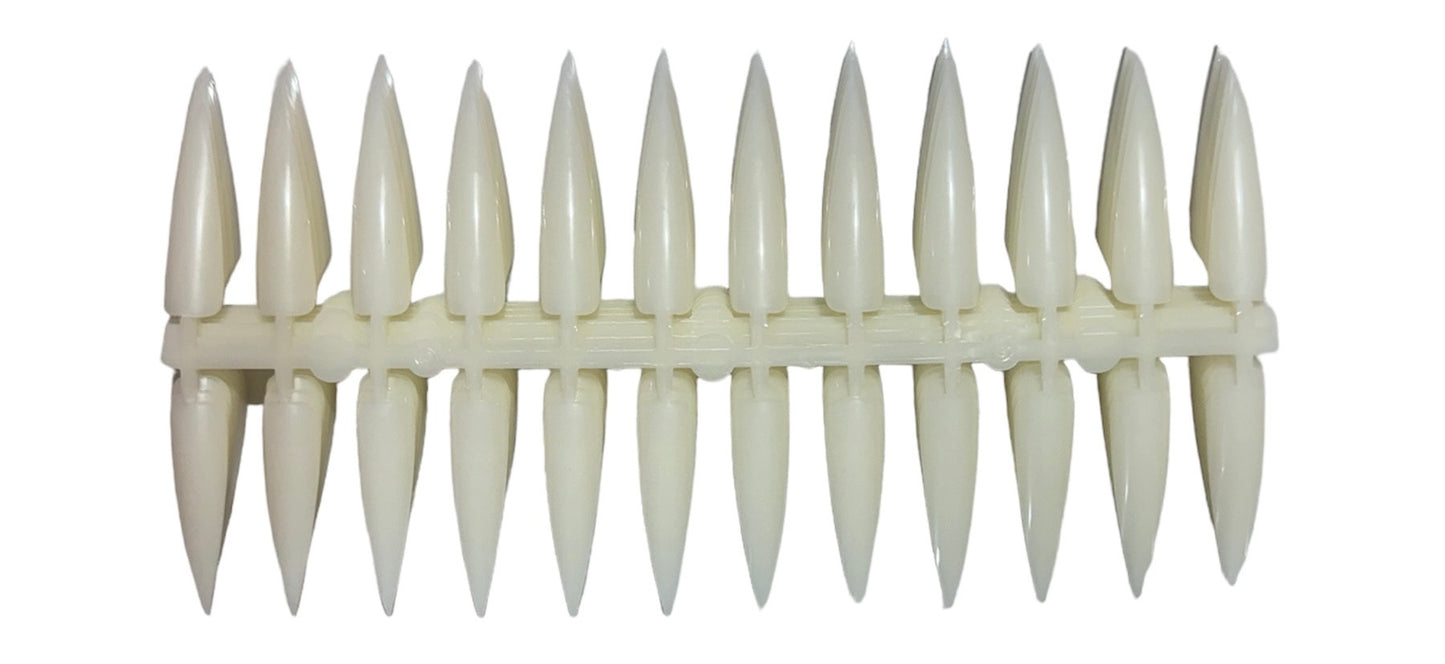 Straight Coffin 24 Tip Display 10/pcs image 1