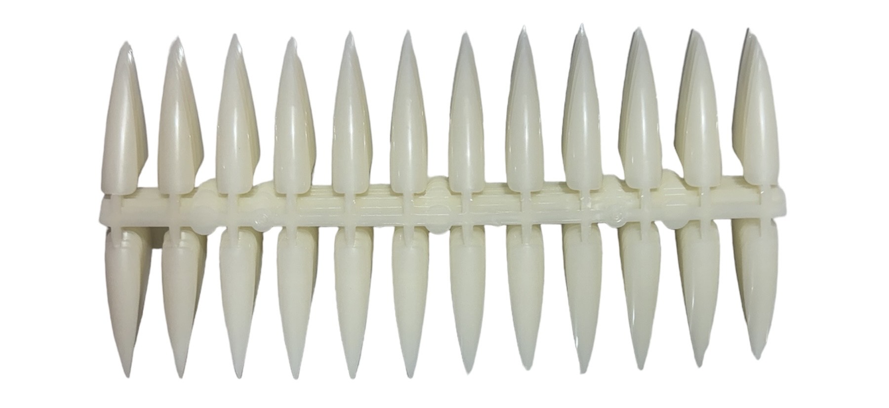 Straight Coffin 24 Tip Display 10/pcs image 1