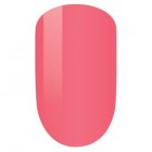 PM150-Rose Glow Set image 0